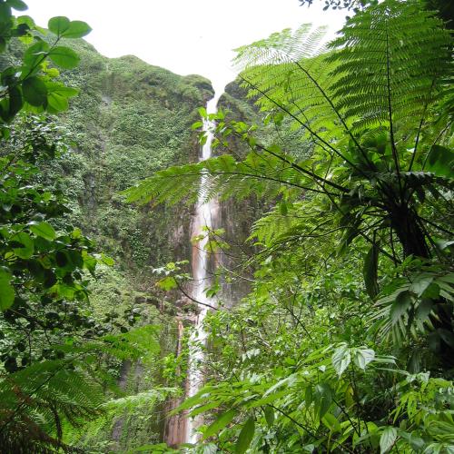 chute_du_carbet_ndeg1_c_stephane_di_mauro_4.jpg